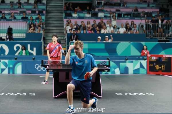 对比赛动态 对比赛动态